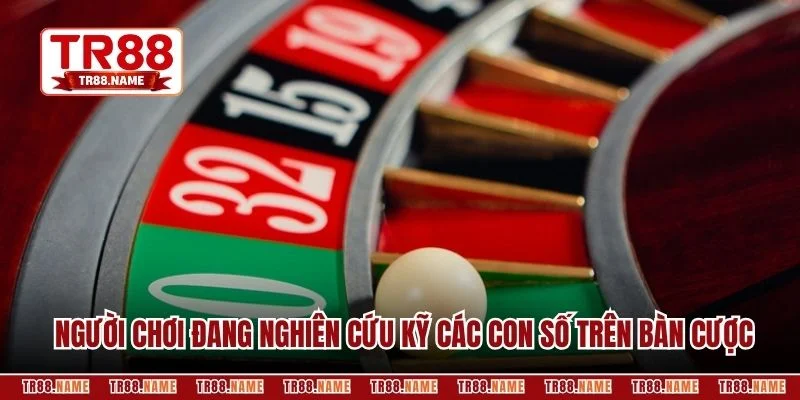 Người chơi đang nghiên cứu kỹ các con số trên bàn cược